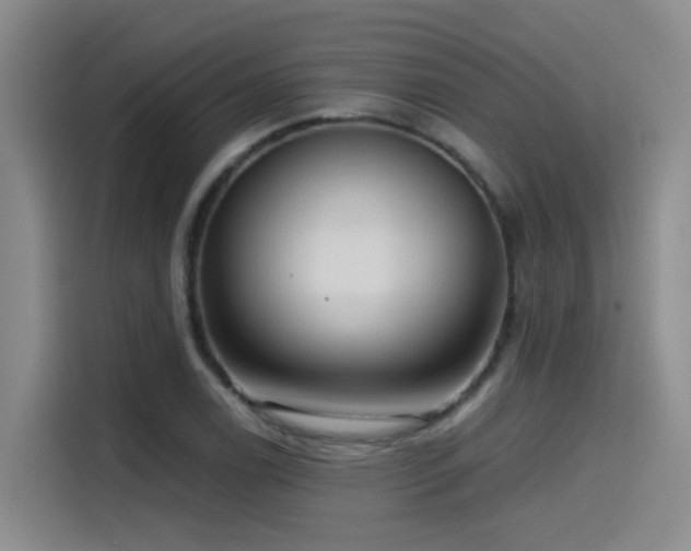 X0000115531122200911061435