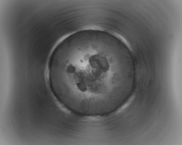 X0000115531125200911061435