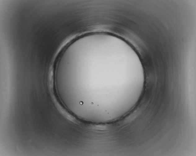 X0000115531126200911061435