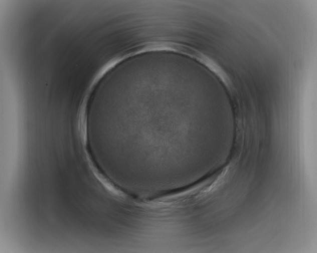 X0000115531127200911061435