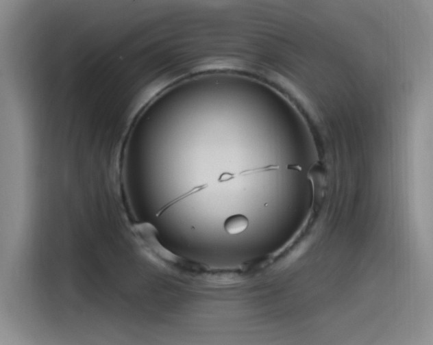 X0000115531129200911061435