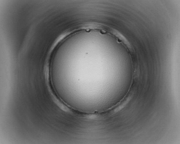 X0000115531130200911061435