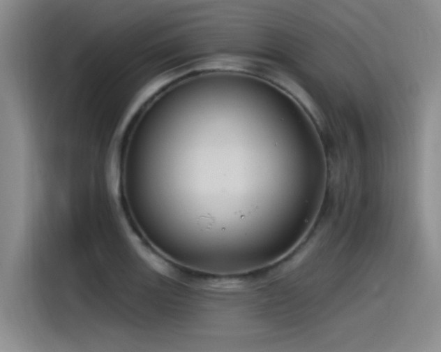 X0000115531131200911061435