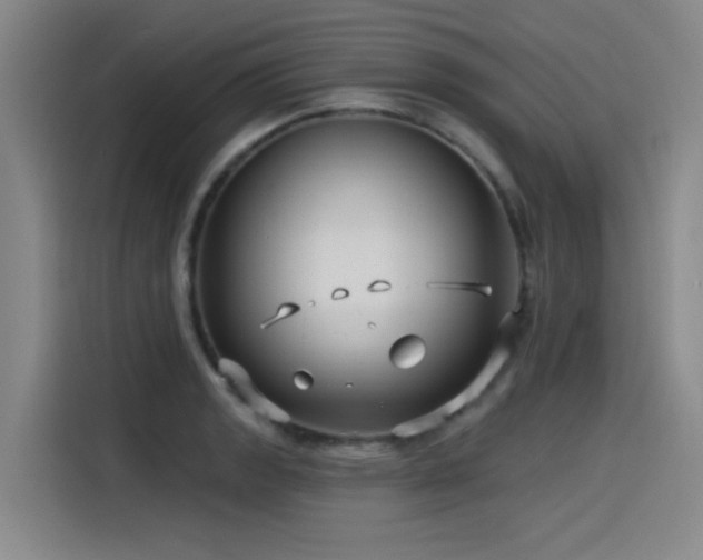 X0000115531133200911061435