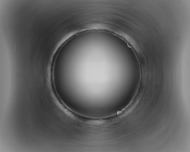 X0000115531134200911061435