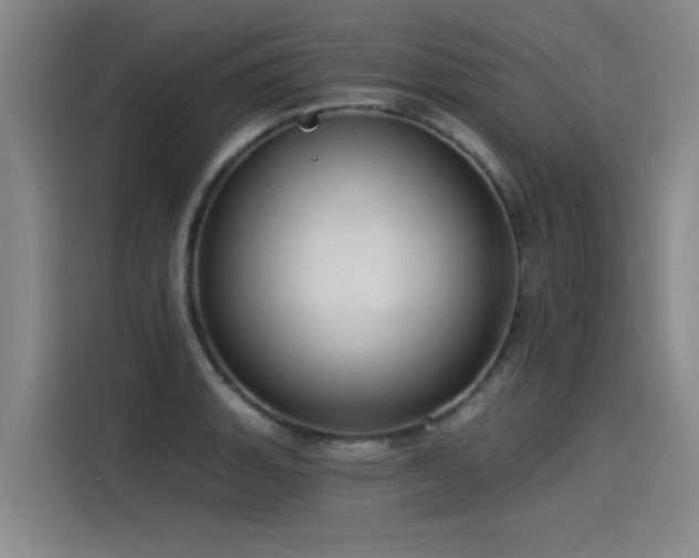X0000115531135200911061435
