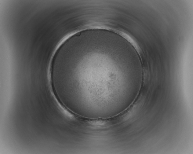 X0000115531141200911061435