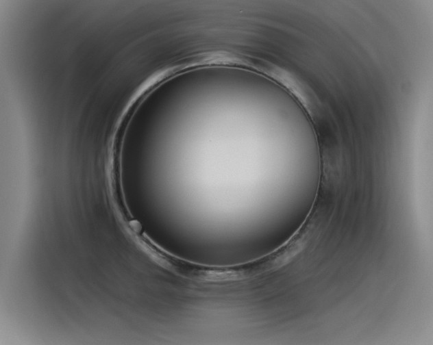 X0000115531142200911061435
