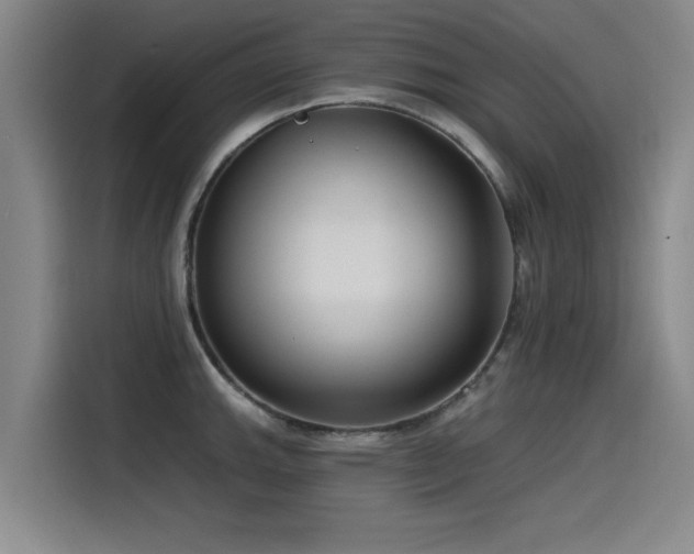 X0000115531143200911061435