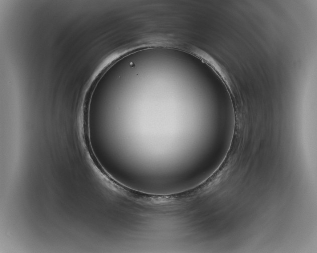 X0000115531147200911061435