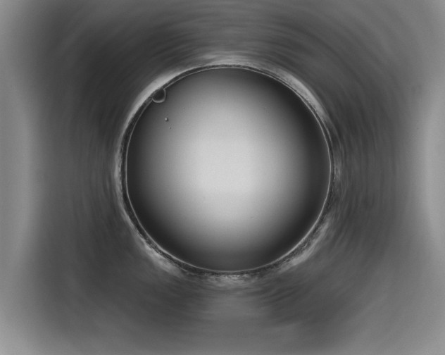 X0000115531149200911061435
