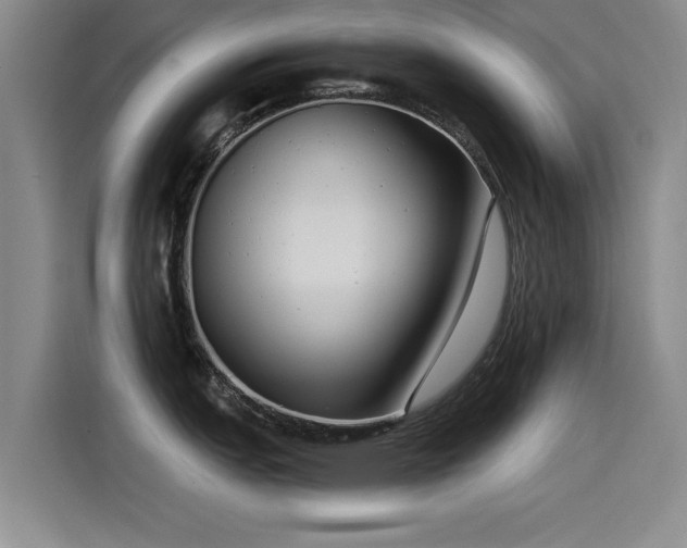 X0000115531151200911061435