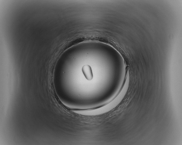 X0000115531153200911061434