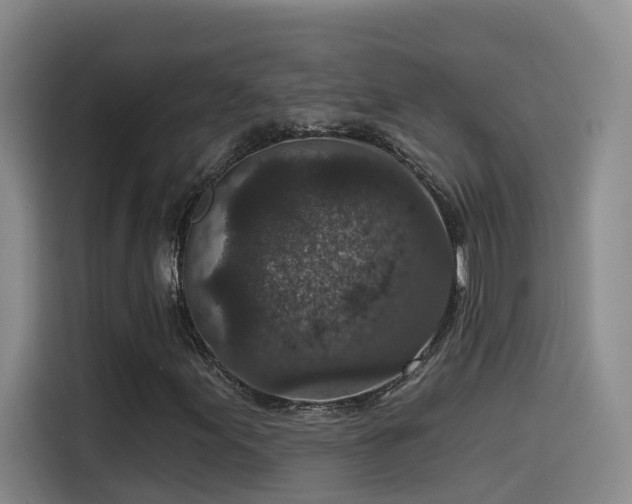 X0000115531155200911061434