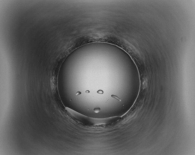 X0000115531156200911061434