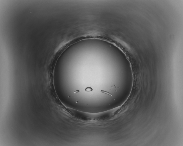 X0000115531160200911061434