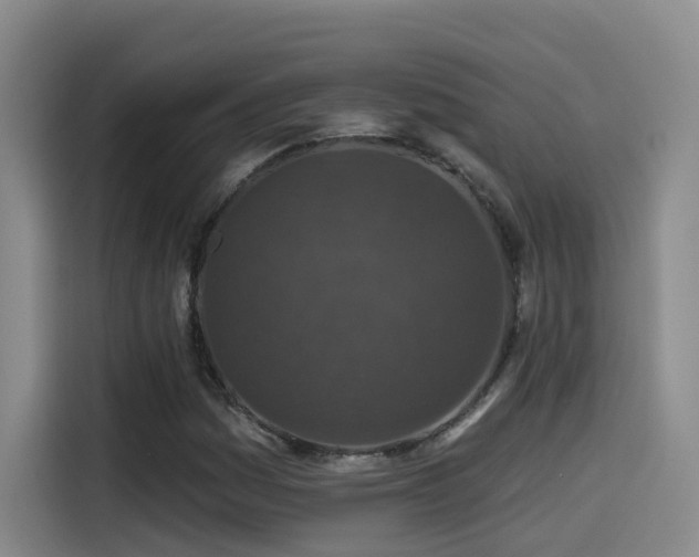 X0000115531161200911061434