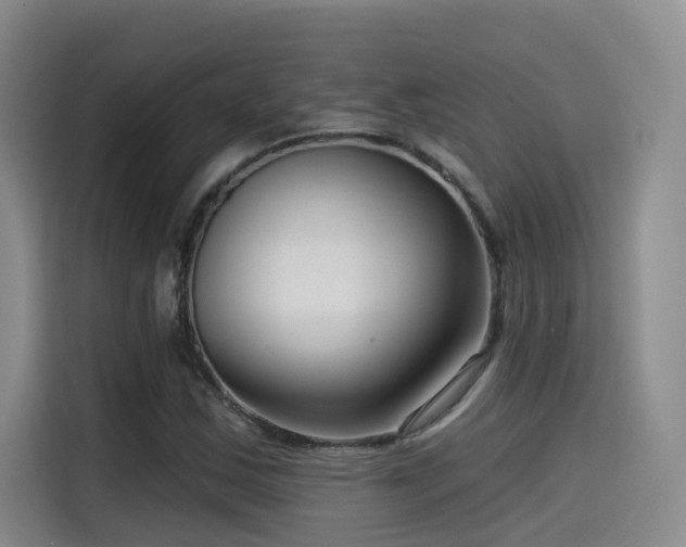 X0000115531163200911061434