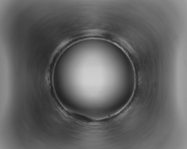 X0000115531164200911061434