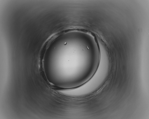 X0000115531165200911061434