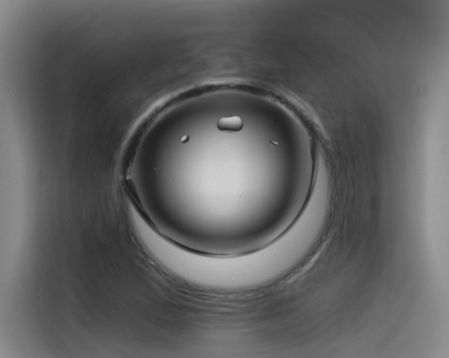 X0000115531167200911061434