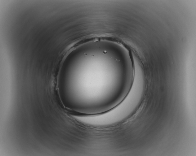 X0000115531169200911061434