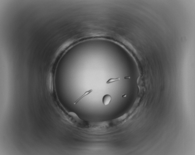 X0000115531171200911061434
