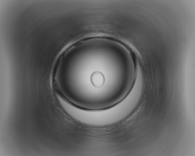 X0000115531173200911061434