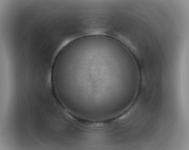 X0000115531174200911061434