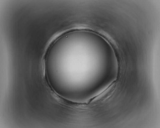 X0000115531175200911061434