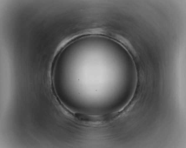 X0000115531176200911061434