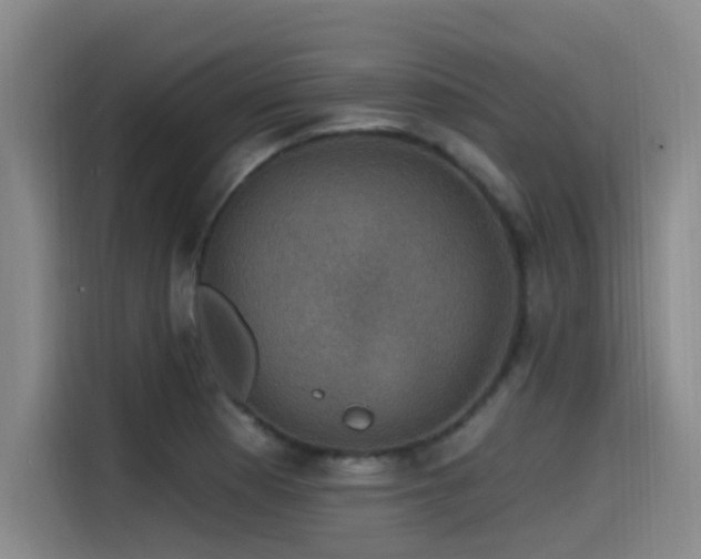 X0000115531177200911061434