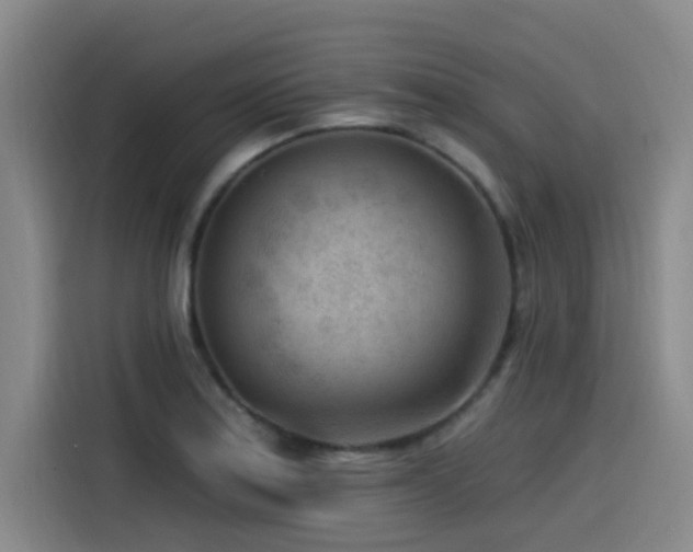 X0000115531179200911061434