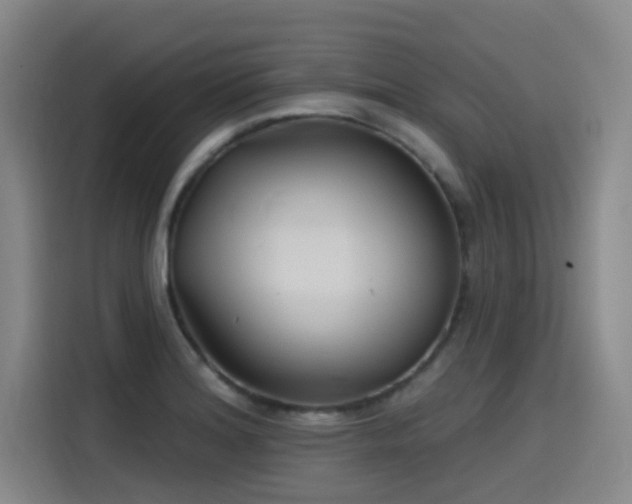 X0000115531180200911061434