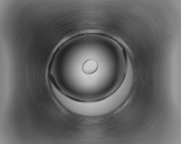 X0000115531181200911061434
