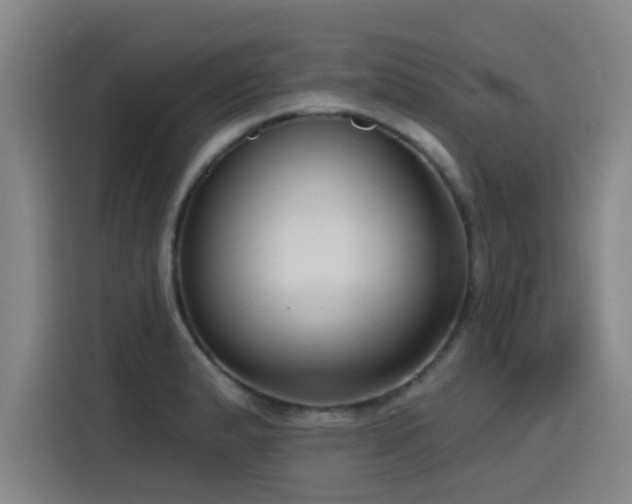 X0000115531183200911061434