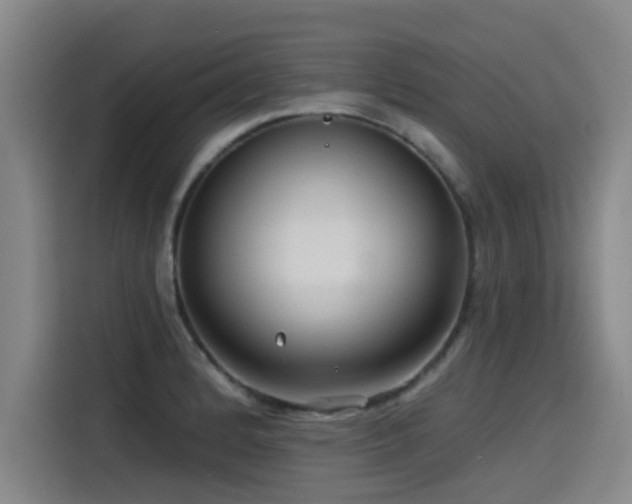 X0000115531184200911061434