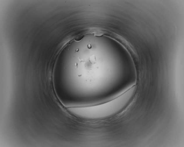X0000115531185200911061434
