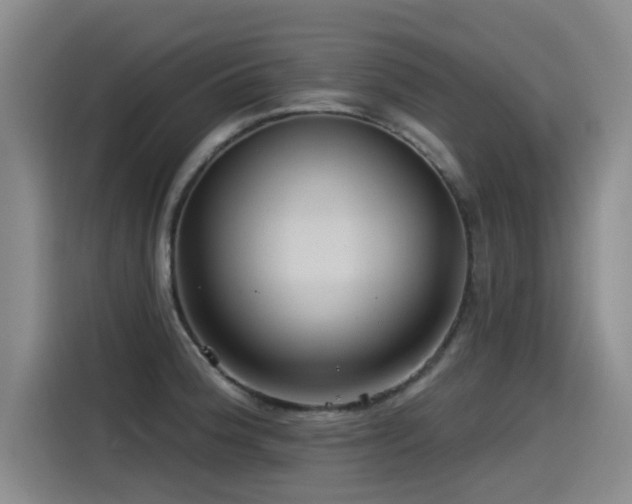 X0000115531188200911061434
