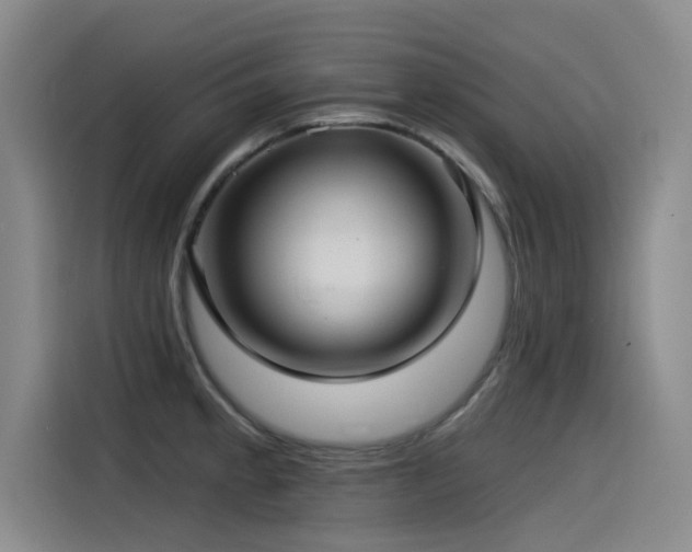 X0000115531189200911061434