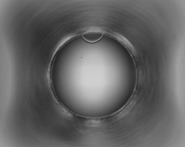 X0000115531190200911061434