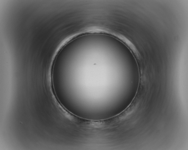 X0000115531191200911061434