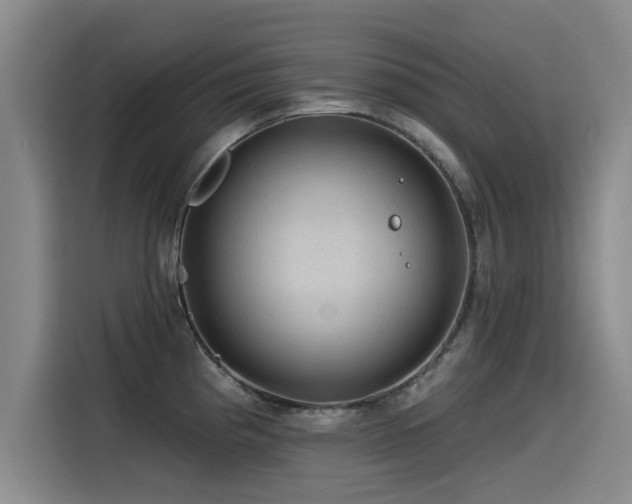 X0000115531193200911061434