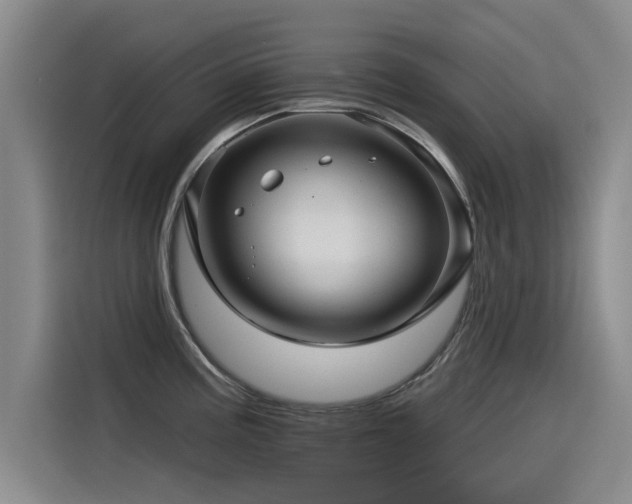 X0000115531195200911061434