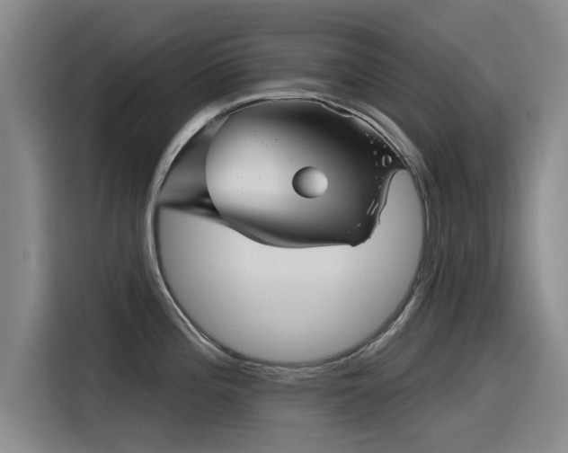 X0000115531196200911061434