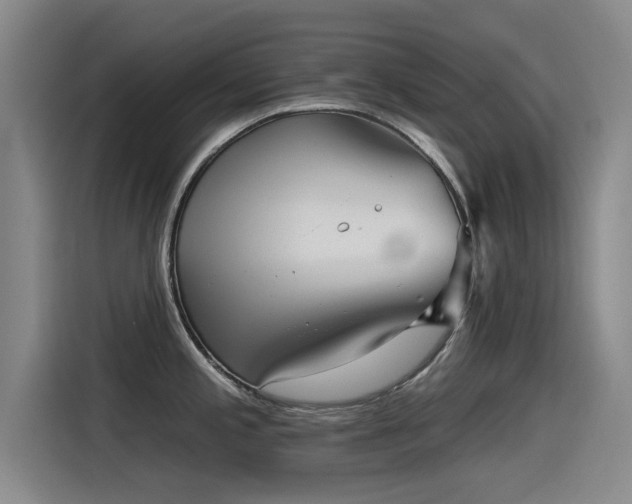 X0000115531197200911061434