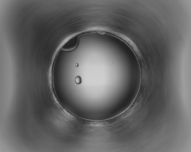 X0000115531199200911061434