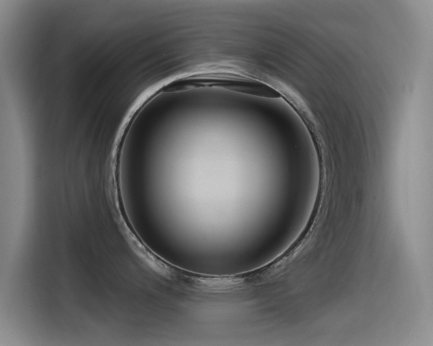 X0000115531200200911061434
