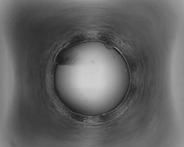 X0000115531201200911061433