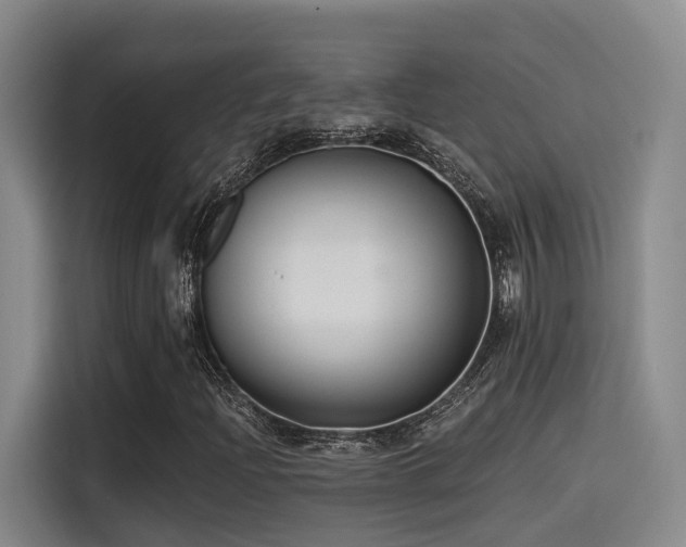 X0000115531204200911061433